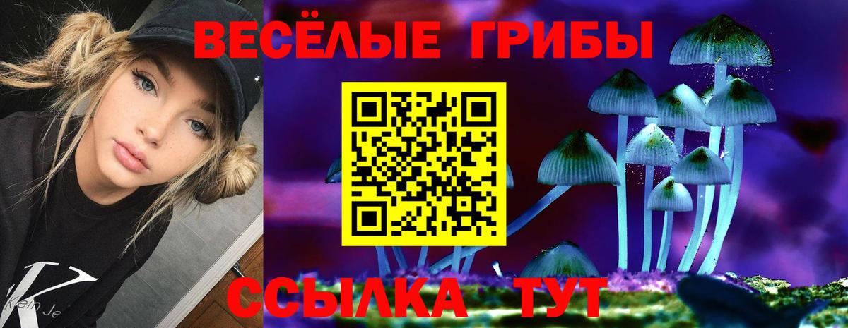 Галлюциногенные грибы Cubensis  Галлюциногенные грибы GOLDEN TEACHER  Стрежевой  Вход с VPN 